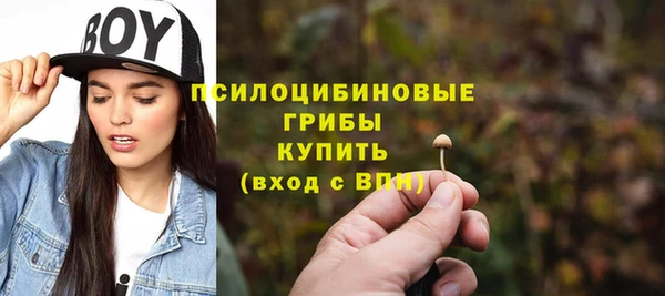 стаф Арсеньев
