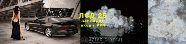 стаф Арсеньев