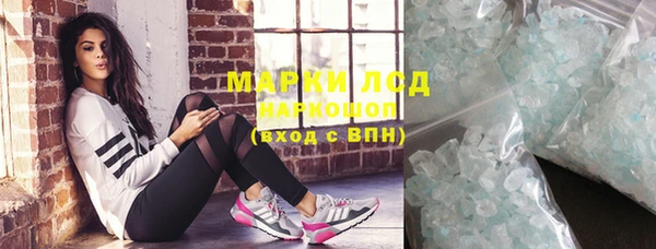 стафф Осташков