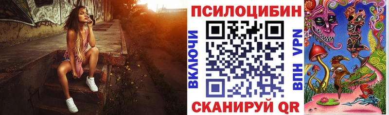Псилоцибиновые грибы Cubensis  закладка  Белгород 