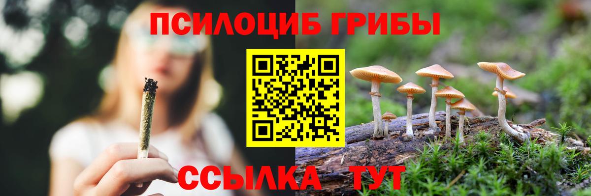 Псилоцибиновые грибы MAGIC MUSHROOMS  Вход с VPN  Белгород  Псилоцибиновые грибы мухоморы 
